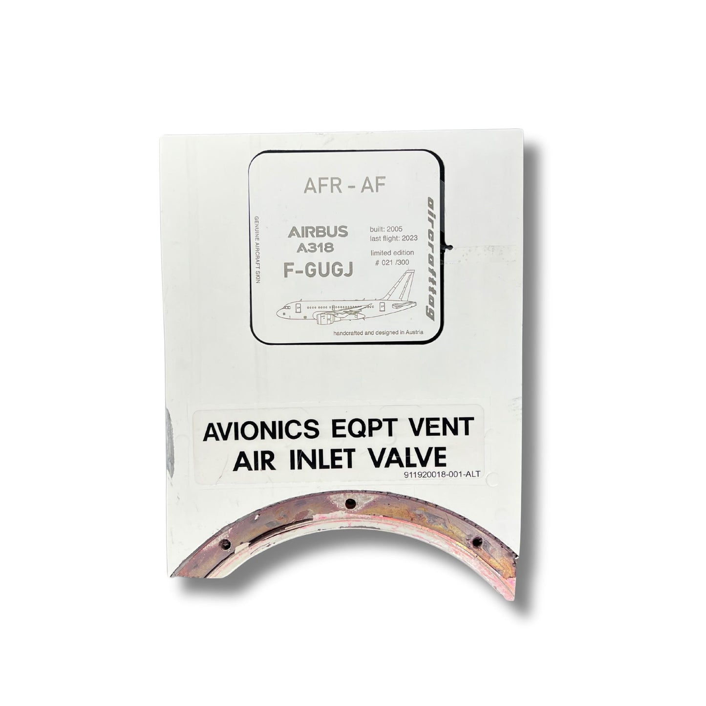 AIRBUS A318 - Air France - F-GUGJ - specials