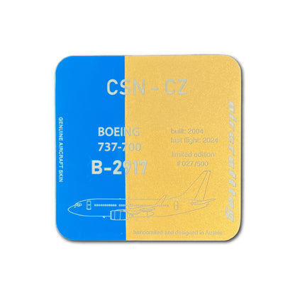 Coaster - Boeing 737 - B-2917 - China Southern Airlines