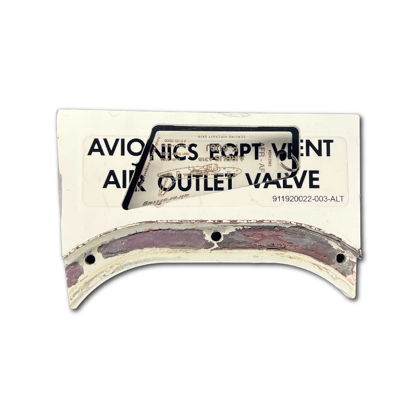 AIRBUS A318 - Air France - F-GUGJ - specials