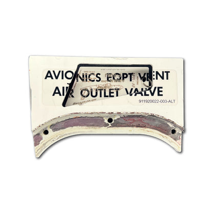 AIRBUS A318 - Air France - F-GUGJ - specials